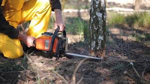 Landscape Design and Installation in Logan, NM